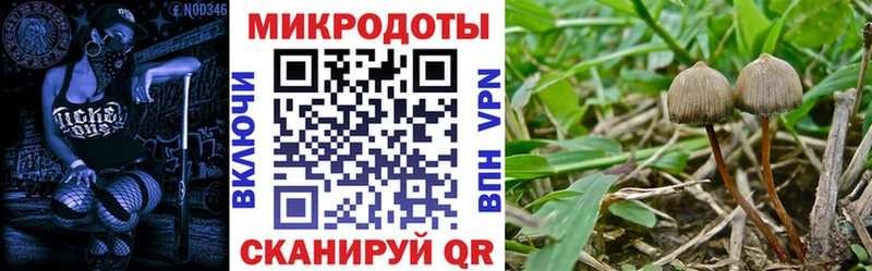 нарко площадка телеграм  купить наркоту  Сысерть  Псилоцибиновые грибы Psilocybe 